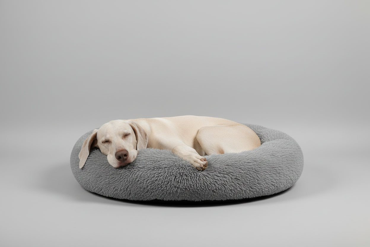 Gray helmet for bikers