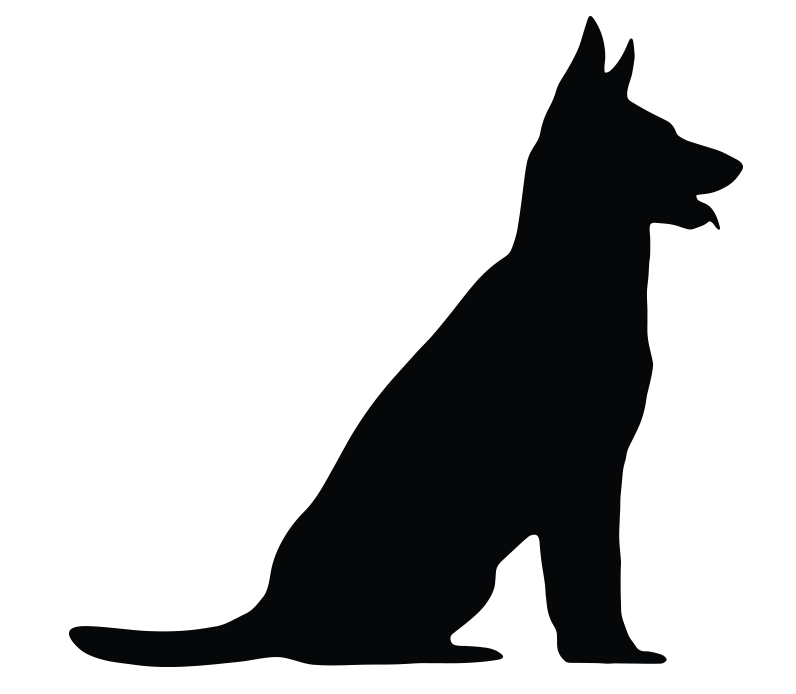 Perros