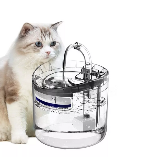 Aquapet Flow