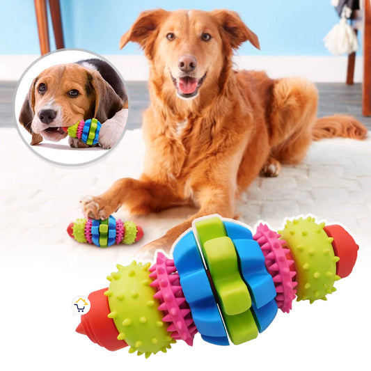GusiPlay – Juguete de Goma Texturizado para Perros