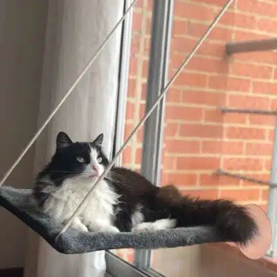SkyNap™