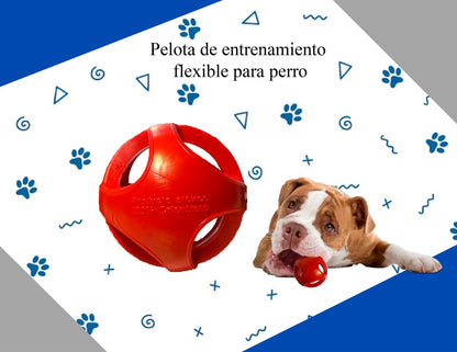 BouncePet – Pelota Interactiva para Mascotas