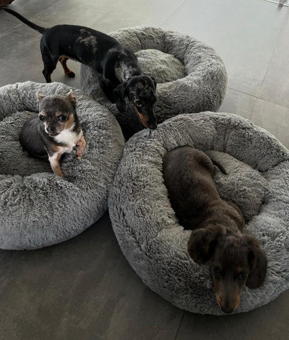 Gray helmet for bikers