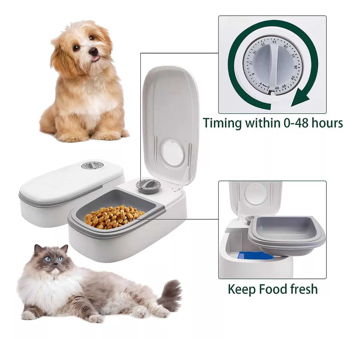 Feedtimer