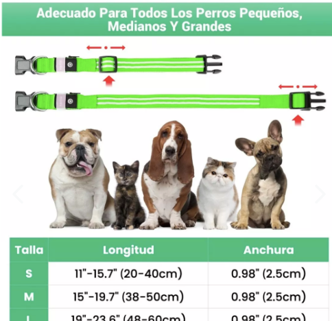 Collar LED Recargable