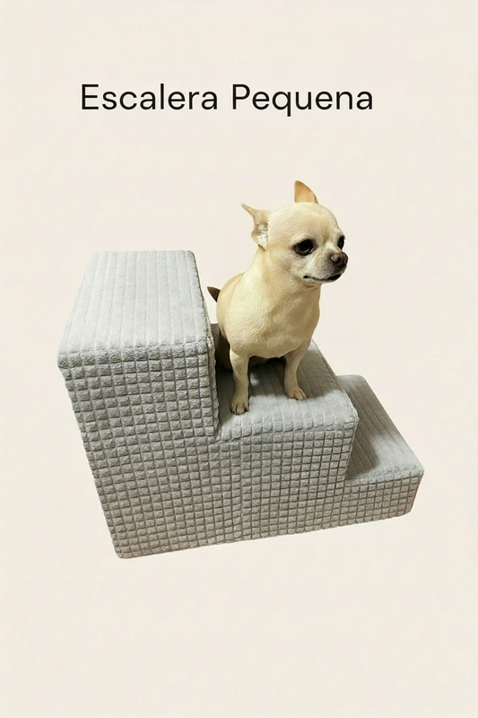 Escalera Pequeña