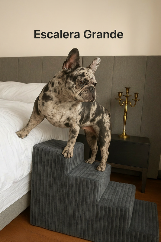Escalera Grande