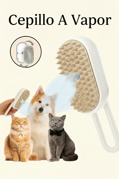 Cepillo A Vapor